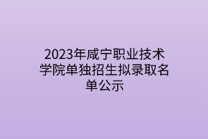 2023年咸宁职业技术学院单独招生拟录取名单公示