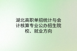 湖北高职单招统计与会计核算专业公办招生院校、就业方向