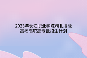 2023年长江职业学院湖北技能高考高职高专批招生计划