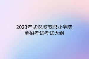2023年武汉城市职业学院单招考试考试大纲
