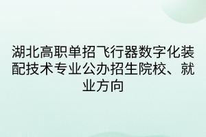 湖北高职单招飞行器数字化装配技术专业