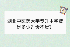 湖北中医药大学专升本学费是多少？贵不贵？