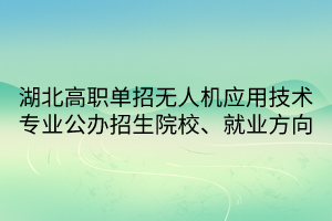 湖北高职单招无人机应用技术专业