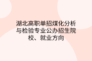 湖北高职单招煤化分析与检验专业公办招生院校、就业方向