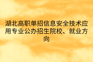 湖北高职单招信息安全技术应用专业公办招生院校、就业方向