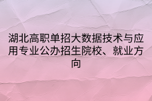 湖北高职单招大数据技术与应用专业公办招生院校、就业方向