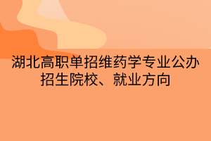 湖北高职单招维药学专业公办招生院校、就业方向