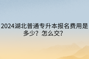 2024湖北普通专升本报名费用是多少？怎么交？