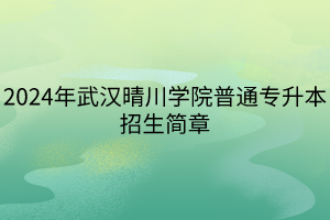 2024年武汉晴川学院普通专升本招生简章(1)