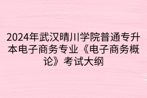 2024年武汉晴川学院普通专升本电子商务专业《电子商务概论》考试大纲(1)