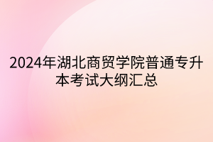 2024年湖北商贸学院普通专升本考试大纲汇总(1)