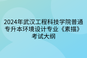 2024年武汉工程科技学院普通专升本环境设计专业《素描》考试大纲(1)