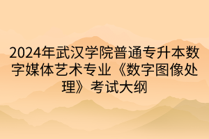 2024年武汉学院普通专升本数字媒体艺术专业《数字图像处理》考试大纲(1)