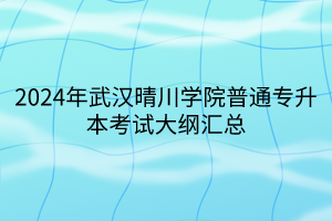 2024年武汉晴川学院普通专升本考试大纲汇总(1)