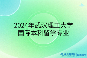 2024年武汉理工大学国际本科留学专业
