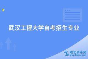 武汉工程大学自考招生专业