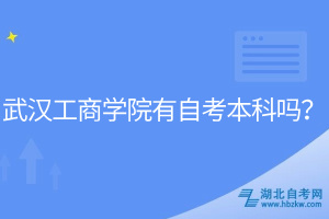 武汉工商学院有自考本科吗？