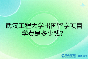 武汉工程大学出国留学项目学费是多少钱？