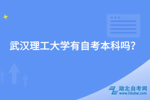 武汉理工大学有自考本科吗？