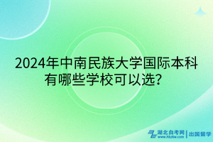 2024年中南民族大学国际本科有哪些学校可以选？