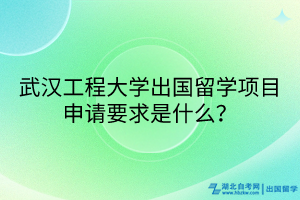 武汉工程大学出国留学项目申请要求是什么？