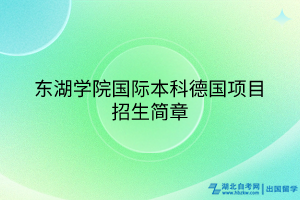 东湖学院国际本科德国项目招生简章