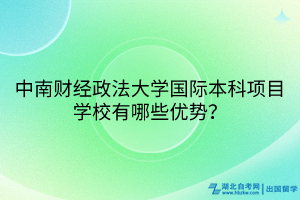 中南财经政法大学国际本科项目学校有哪些优势？