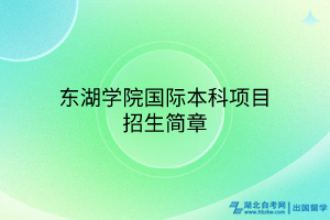 东湖学院国际本科项目招生简章