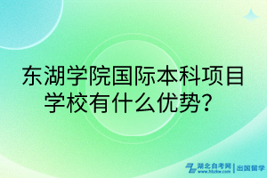 东湖学院国际本科项目学校有什么优势？