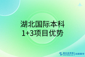 湖北国际本科1+3项目优势