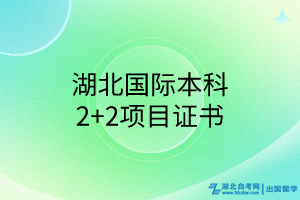 湖北国际本科2+2项目证书