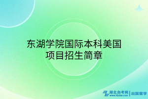 东湖学院国际本科美国项目招生简章