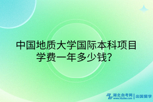 中国地质大学国际本科项目学费一年多少钱？