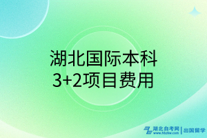 湖北国际本科3+2项目费用