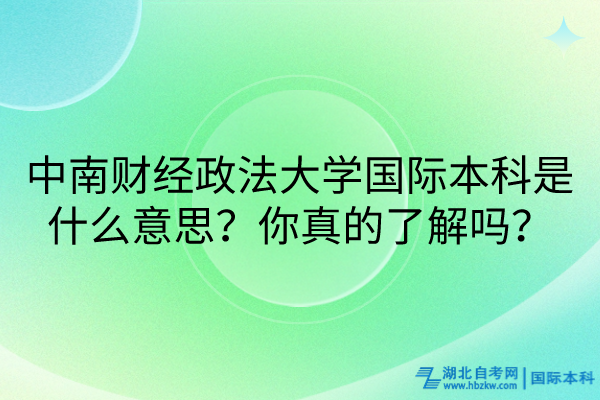中南财经政法大学国际本科是什么意思？你真的了解吗？
