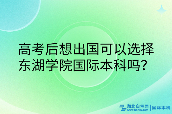 高考后想出国可以选择东湖学院国际本科吗？