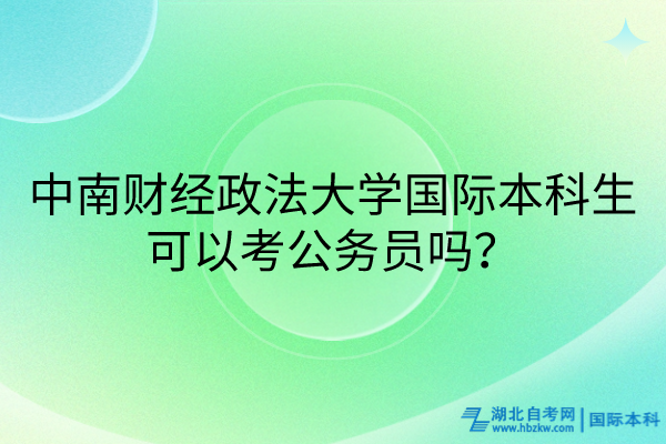 中南财经政法大学国际本科生可以考公务员吗？