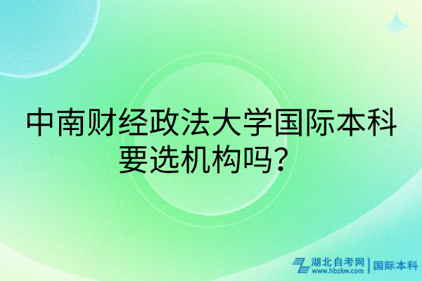 中南财经政法大学国际本科要选机构吗？