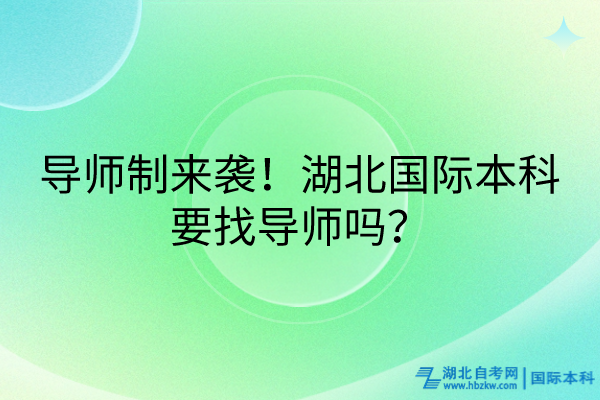 导师制来袭！湖北国际本科要找导师吗？
