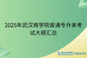 页面17