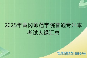 页面13