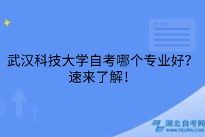 武汉科技大学自考哪个专业好？速来了解！