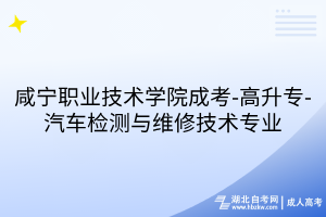 咸宁职业技术学院成考-高升专-汽车检测与维修技术专业