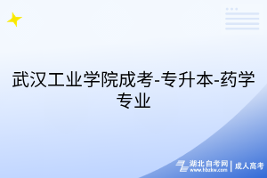 武汉工业学院成考-专升本-药学专业