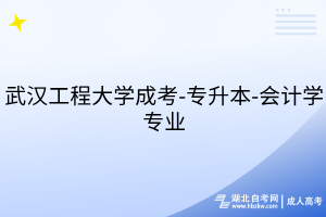 武汉工程大学成考-专升本-会计学专业