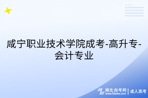 咸宁职业技术学院成考-高升专-会计专业