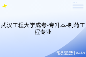 武汉工程大学成考-专升本-制药工程专业