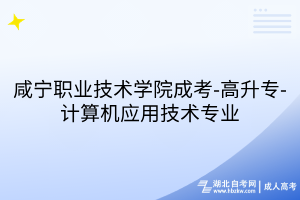 咸宁职业技术学院成考-高升专-计算机应用技术专业