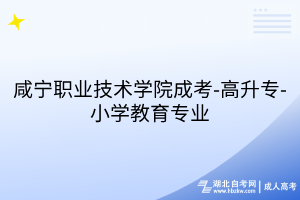 咸宁职业技术学院成考-高升专-小学教育专业
