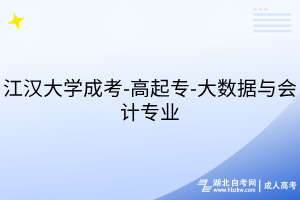 江汉大学成考-高起专-大数据与会计专业